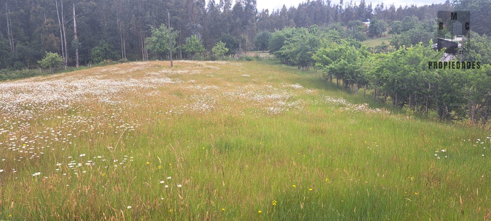 TERRENO DE 5,5, CERCANA A 10 MINUTOS DE LA UNIÓN
